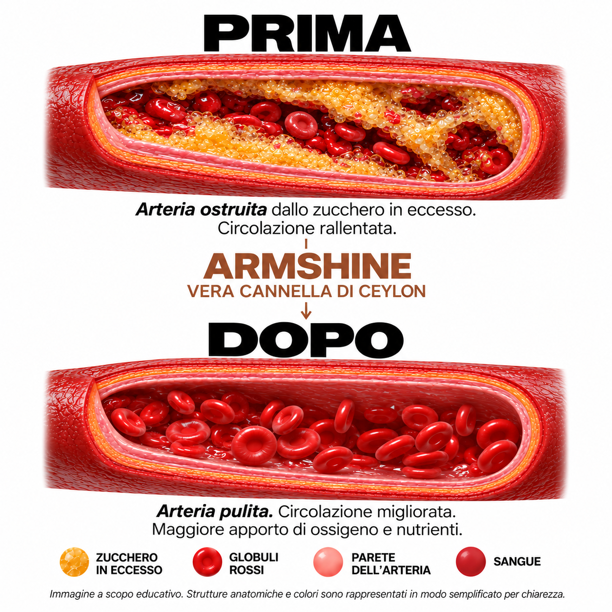 Cannella di Ceylon Pura Armshine